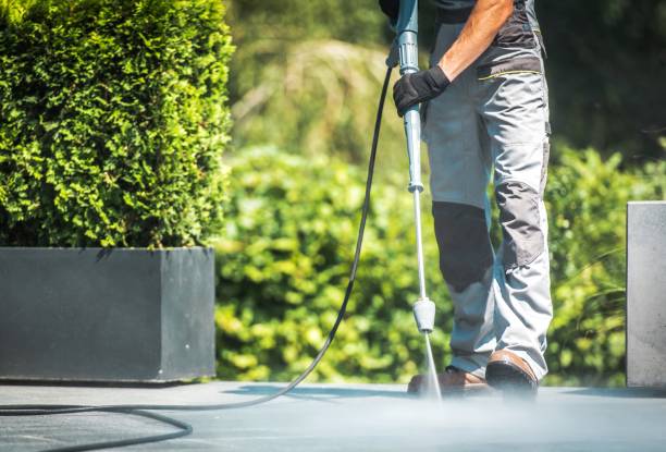 Best Pre-Holiday Cleaning  in Buena Vista, VA